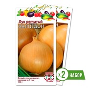 Набор семян лука репчатого Халцедон 1г х 2 - фото 48446