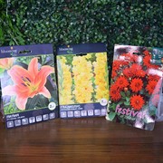 Набор луковичных растений Георгина Ред Пижми, Гладиолус Хорки, Лилия Зельмира - фото 48458