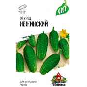 Огурец Нежинский 0,5г ХИТ - фото 48479