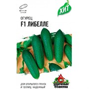 Огурец Либелле F1 0,3г ХИТ - фото 48481 Огурец Либелле F1 0,3г ХИТ - фото 48481