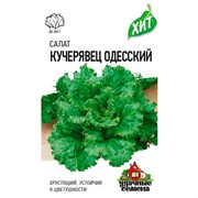 Салат Кучерявец Одесский 0,5г ХИТ - фото 48510