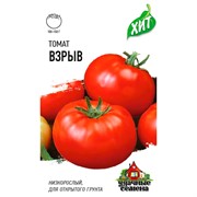 Семена Томат Взрыв 0,05г ХИТ Гавриш - фото 48528