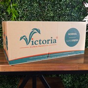 Пена Виктория Классик кирпич 23х11х8см 20шт - фото 48593