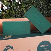 Пена Виктория Классик кирпич 23х11х8см 20шт - фото 48619