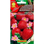 Земляника Флориан F1 ремонтантная - фото 48780