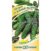 Огурец Зеленый экспресс F1 10шт - фото 48912
