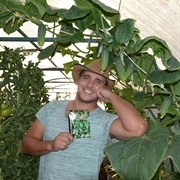 Семена Огурец Санькина любовь F1 без горечи и пустот для консервирования - фото 48915 Семена Огурец Санькина любовь F1 без горечи и пустот для консервирования - фото 48915