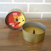 Свечи антимоскитные уличного освещения, аромат лимон, набор 2 штуки - фото 48934