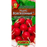 Редис Всесезонный - фото 49022