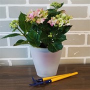 Горшок Конус 1,3л прозрачный с вкладкой - фото 49087