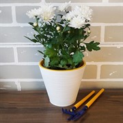 Горшок Конус 1,3л белый с вкладкой - фото 49092