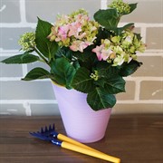 Горшок Конус 1,3л лавандовый с вкладкой - фото 49102