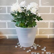 Горшок Конус 2,3л прозрачный с вкладкой - фото 49112