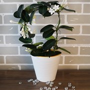 Горшок Конус 2,3л белый с вкладкой - фото 49116