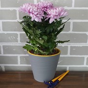 Горшок Конус 2,3л серый муссон с вкладкой - фото 49120