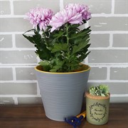 Горшок Конус 3,7л серый муссон с вкладкой - фото 49131