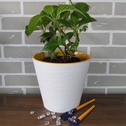 Горшок Конус 6л белый с вкладкой - фото 49134