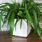 Горшок Квадро 6,6л белый с вкладкой - фото 49142