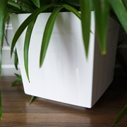 Горшок Квадро 6,6л белый с вкладкой - фото 49143