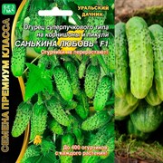 Семена Огурец Санькина любовь F1 без горечи и пустот для консервирования - фото 49272 Семена Огурец Санькина любовь F1 без горечи и пустот для консервирования - фото 49272