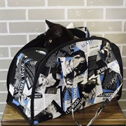 Сумка переноска РВS 3!!! - фото 49297