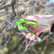 Секатор Палисад прямой рез для бонсай и топиария 150мм - фото 49575