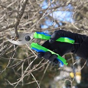 Секатор 220мм зубчатый с никелевым покрытием - фото 49582