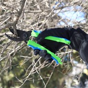 Секатор 220мм зубчатый с оксидированным покрытием - фото 49583