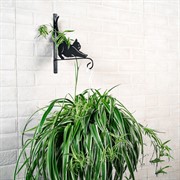 Кронштейн настенный Кошка для растений длина 29см металл 201-001B - фото 49708 Кронштейн настенный Кошка для растений длина 29см металл 201-001B - фото 49708