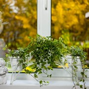 Подставка на подоконник на 3 цветка металл 14-903 - фото 49964