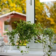 Подставка на подоконник на 3 цветка металл 14-903 - фото 49965