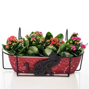 Кронштейн для растений балконный резной Кошка длина 52см металл 203-009 - фото 49995