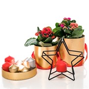 Подсвечник металл Звезда чёрный под одну свечу 607-36-B - фото 50016