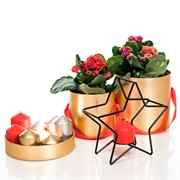 Подсвечник металл Звезда чёрный под одну свечу 607-36-B - фото 50017