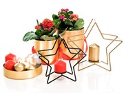 Подсвечник металл Звезда чёрный под одну свечу 607-36-B - фото 50019