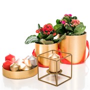 Подсвечник кованый Куб золотой под 1 свечу 607-37-G - фото 50020