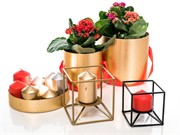 Подсвечник кованый Куб золотой под 1 свечу 607-37-G - фото 50022