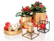 Подсвечник кованый Куб золотой под 1 свечу 607-37-G - фото 50023