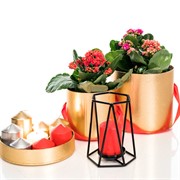 Подсвечник чёрный кованый Лофт под 1 свечу 607-45-B - фото 50053