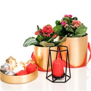 Подсвечник чёрный кованый Лофт под 1 свечу 607-45-B - фото 50054