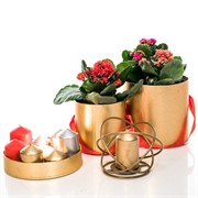 Подсвечник Сфера под 1 свечу золотой кованый 607-47-G - фото 50059