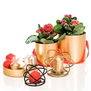 Подсвечник Сфера под 1 свечу золотой кованый 607-47-G - фото 50060