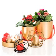 Подсвечник Сфера под 1 свечу золотой кованый 607-47-G - фото 50061