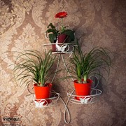 Подставка 14-613 настенная на 3 цветка - фото 5006