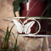 Подставка 14-613 настенная на 3 цветка - фото 5009