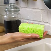 Губка бытовая Королевская лилия с чистящим слоем 5шт - фото 50150