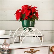 Подставка кованая 14-901 на 1 цветок - фото 5022