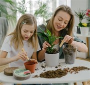 Почвобрикет Комнатные цветы 2,5л круглый - фото 50969