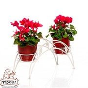 Подставка кованая 14-902 на 2 цветка - фото 5195