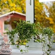 Подставка на подоконник на 3 цветка металл 14-903 - фото 5198